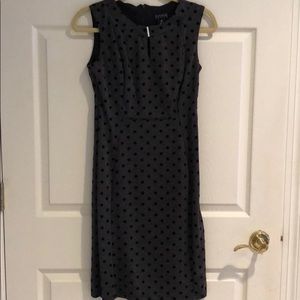 Enfocus Studio Dresses - 🔴 4/$10 ENFOCUS SZ 4P Grey/Black Polkadot Dress Enfocus Studio Dresses - 🔴 4/$10 ENFOCUS SZ 4P Grey/Black Polkadot Dress
